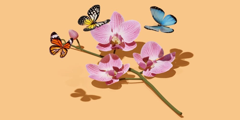 solita kali uchis synth presets